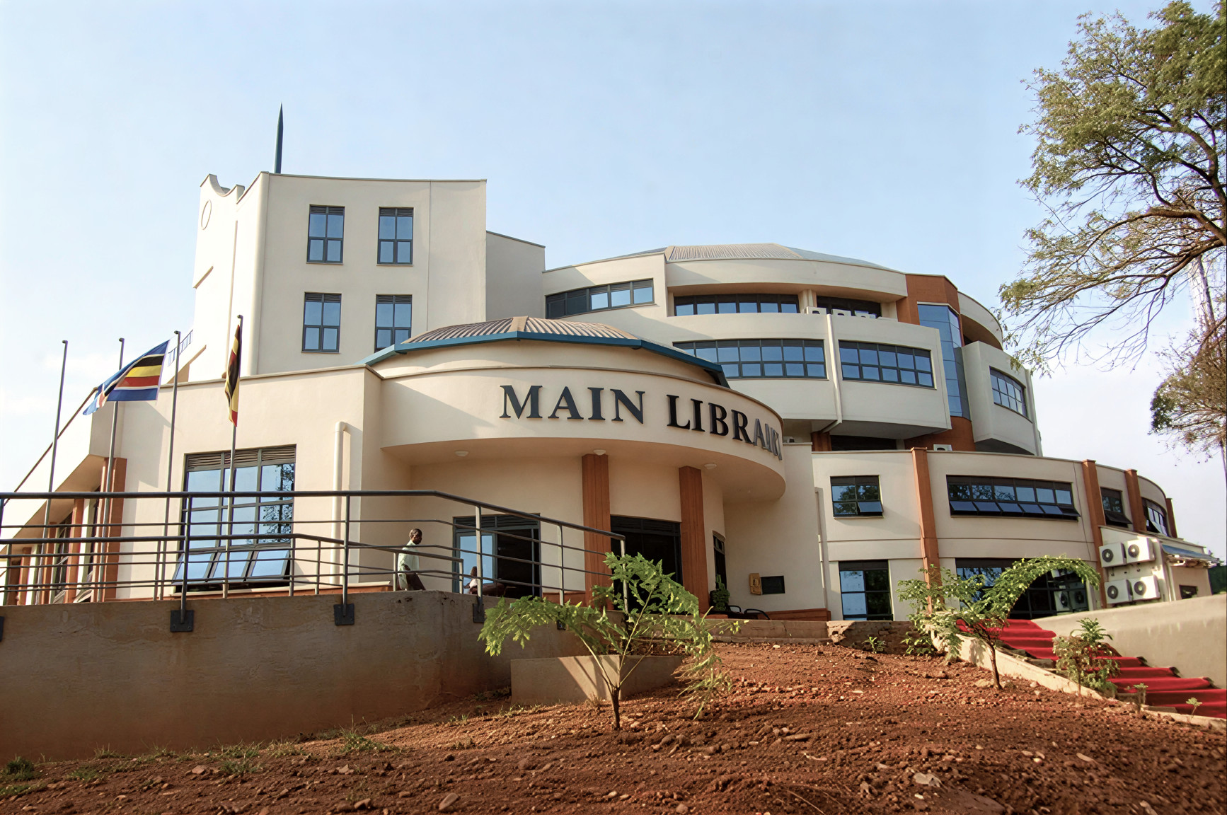 Students studying and learning