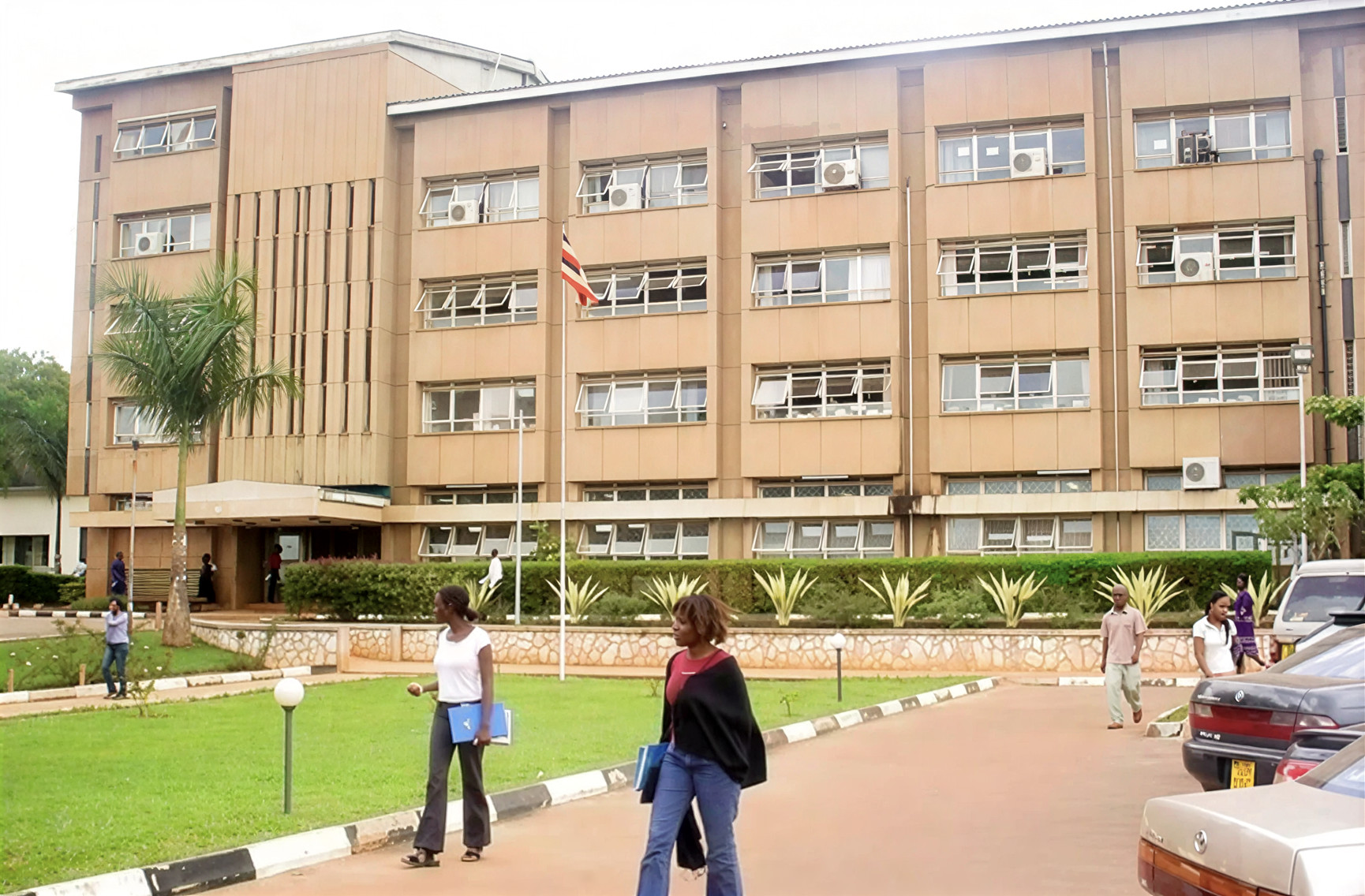 Student wellness and support