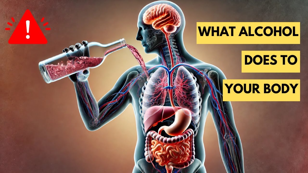 What Alcohol Really Does to the Body